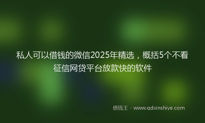 私人可以借钱的微信2025年精选，概括5个不看征信网贷平台放款快的软件