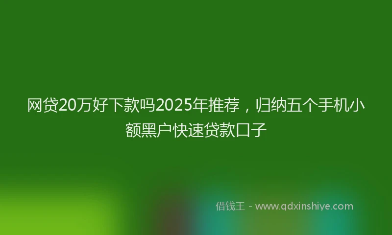 网贷20万好下款吗2025年推荐，归纳五个手机小额黑户快速贷款口子