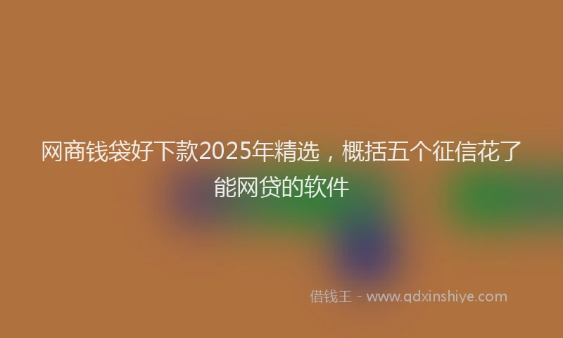 网商钱袋好下款2025年精选，概括五个征信花了能网贷的软件