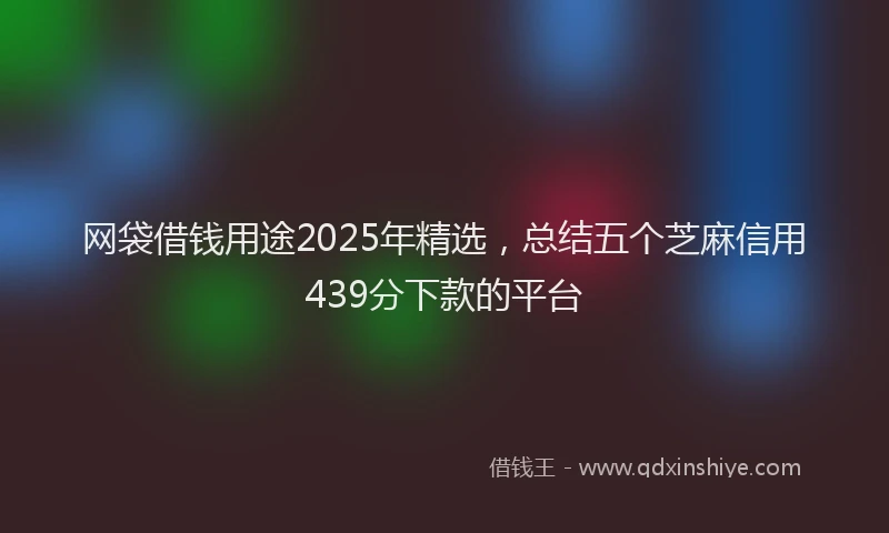 网袋借钱用途2025年精选，总结五个芝麻信用439分下款的平台