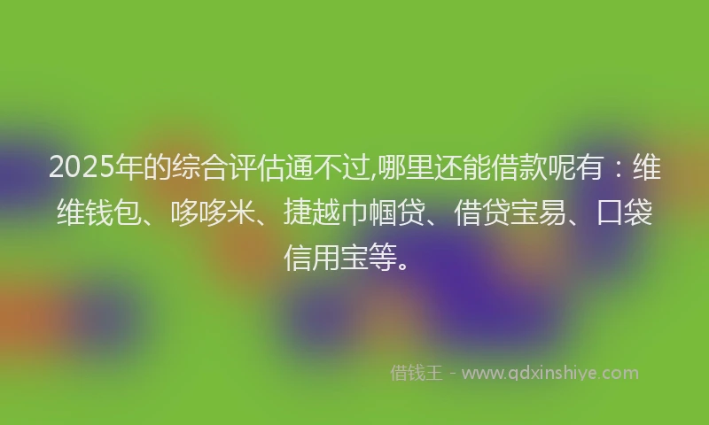 2025年的综合评估通不过,哪里还能借款呢有：维维钱包、哆哆米、捷越巾帼贷、借贷宝易、口袋信用宝等。