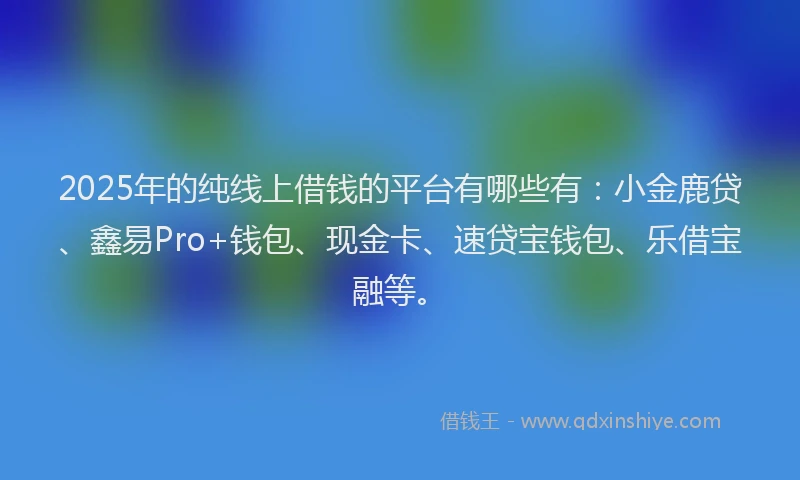 2025年的纯线上借钱的平台有哪些有：小金鹿贷、鑫易Pro+钱包、现金卡、速贷宝钱包、乐借宝融等。
