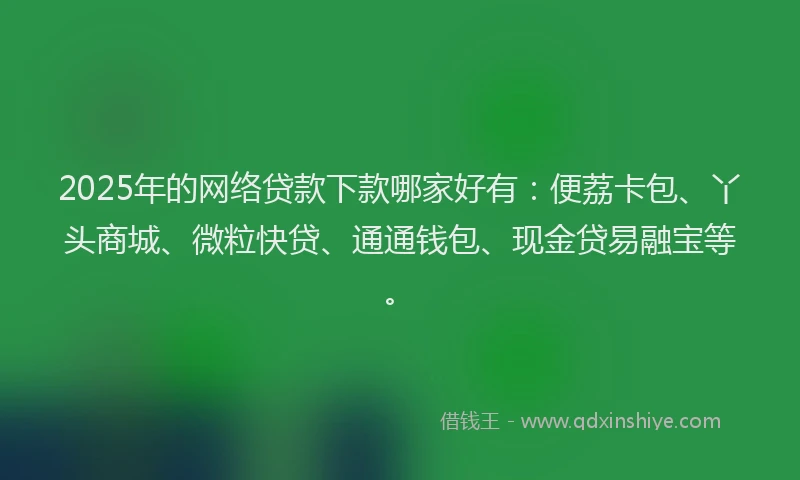 2025年的网络贷款下款哪家好有：便荔卡包、丫头商城、微粒快贷、通通钱包、现金贷易融宝等。