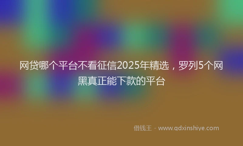 网贷哪个平台不看征信2025年精选，罗列5个网黑真正能下款的平台