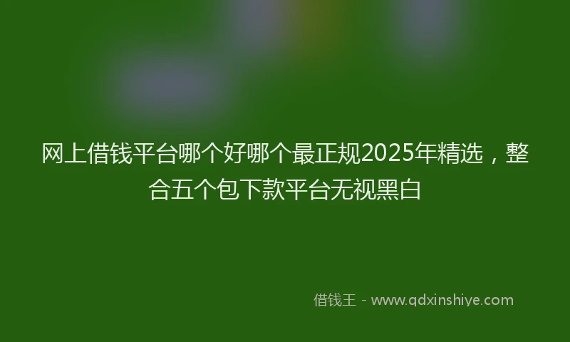 网上借钱平台哪个好哪个最正规2025年精选，整合五个包下款平台无视黑白