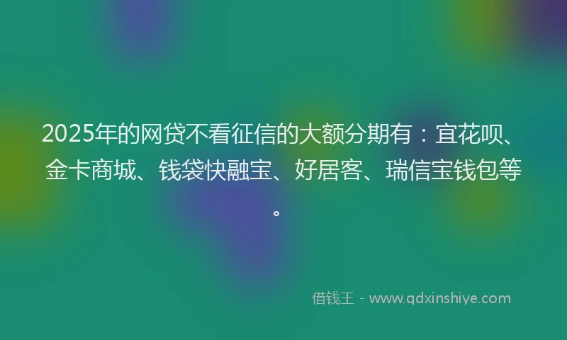 2025年的网贷不看征信的大额分期有：宜花呗、金卡商城、钱袋快融宝、好居客、瑞信宝钱包等。
