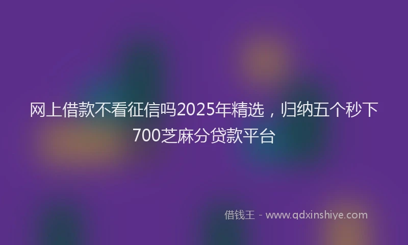 网上借款不看征信吗2025年精选，归纳五个秒下700芝麻分贷款平台
