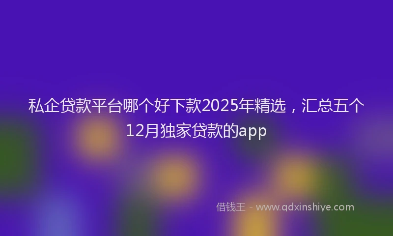 私企贷款平台哪个好下款2025年精选，汇总五个12月独家贷款的app