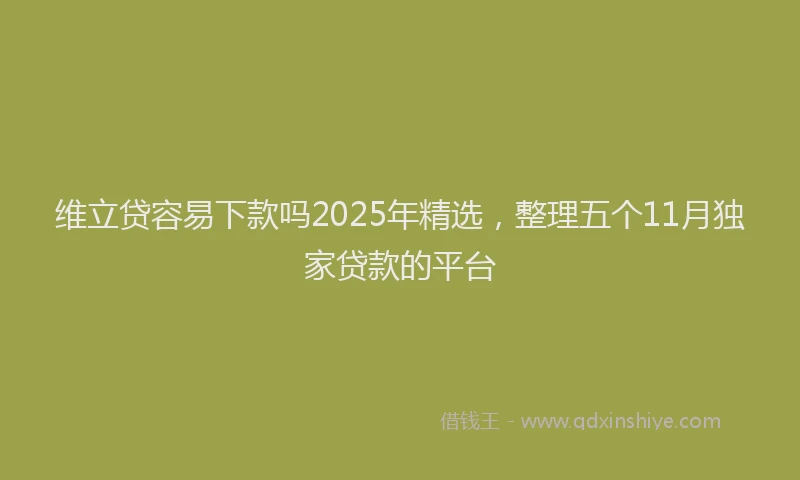维立贷容易下款吗2025年精选，整理五个11月独家贷款的平台