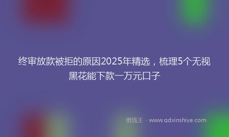 终审放款被拒的原因2025年精选，梳理5个无视黑花能下款一万元口子