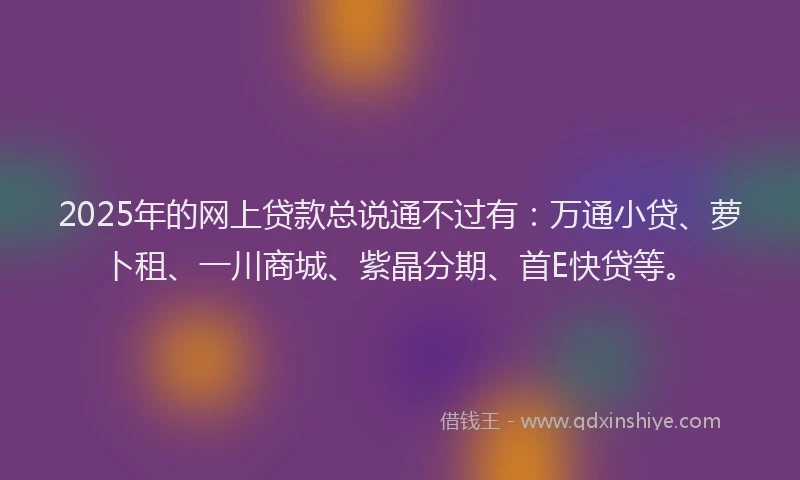 2025年的网上贷款总说通不过有：万通小贷、萝卜租、一川商城、紫晶分期、首E快贷等。