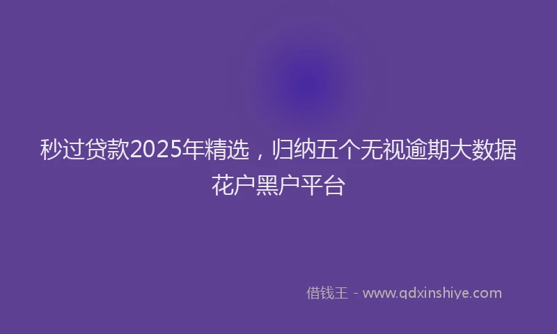 秒过贷款2025年精选，归纳五个无视逾期大数据花户黑户平台