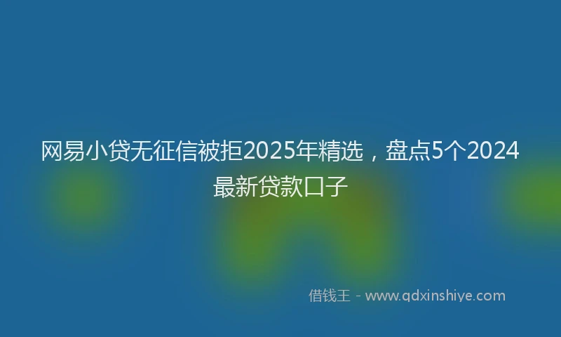 网易小贷无征信被拒2025年精选，盘点5个2024最新贷款口子