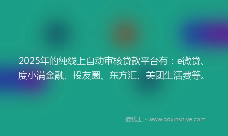 2025年的纯线上自动审核贷款平台有：e微贷、度小满金融、投友圈、东方汇、美团生活费等。