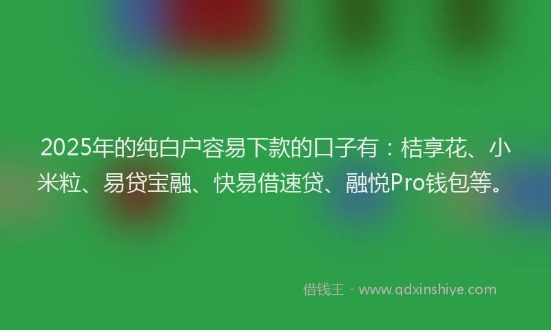 2025年的纯白户容易下款的口子有：桔享花、小米粒、易贷宝融、快易借速贷、融悦Pro钱包等。