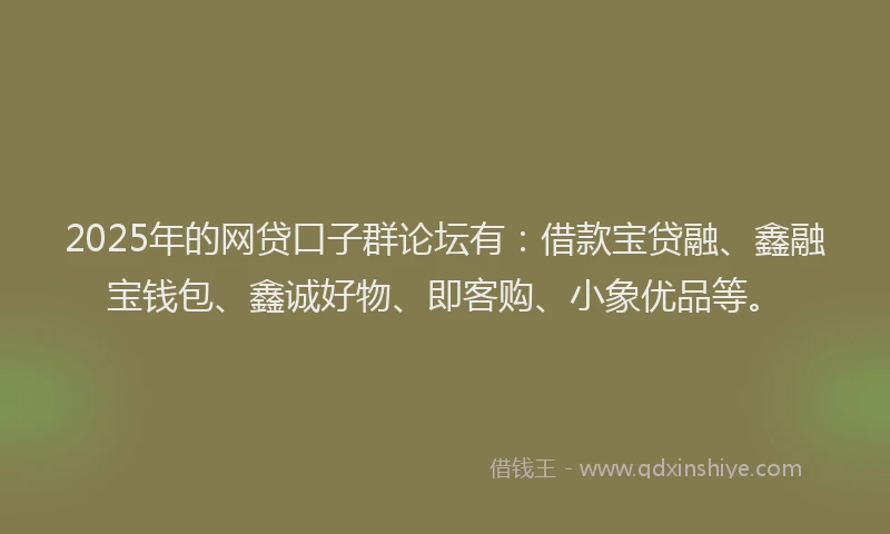 2025年的网贷口子群论坛有：借款宝贷融、鑫融宝钱包、鑫诚好物、即客购、小象优品等。