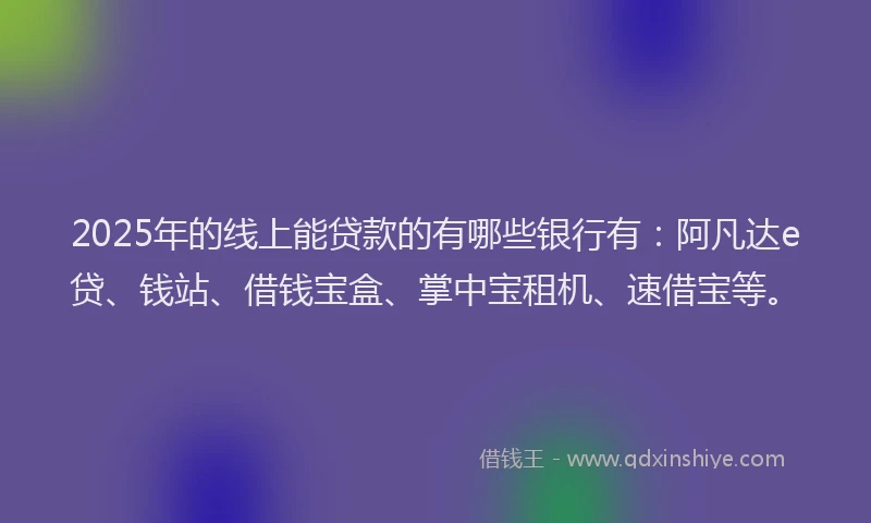 2025年的线上能贷款的有哪些银行有：阿凡达e贷、钱站、借钱宝盒、掌中宝租机、速借宝等。