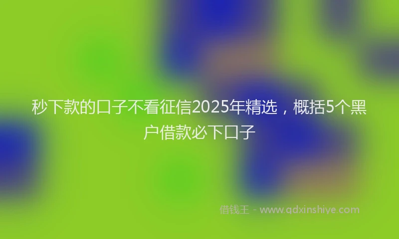 秒下款的口子不看征信2025年精选，概括5个黑户借款必下口子