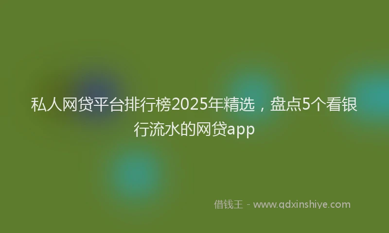 私人网贷平台排行榜2025年精选，盘点5个看银行流水的网贷app
