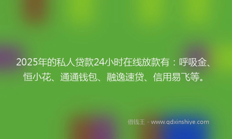 2025年的私人贷款24小时在线放款有：呼吸金、恒小花、通通钱包、融逸速贷、信用易飞等。