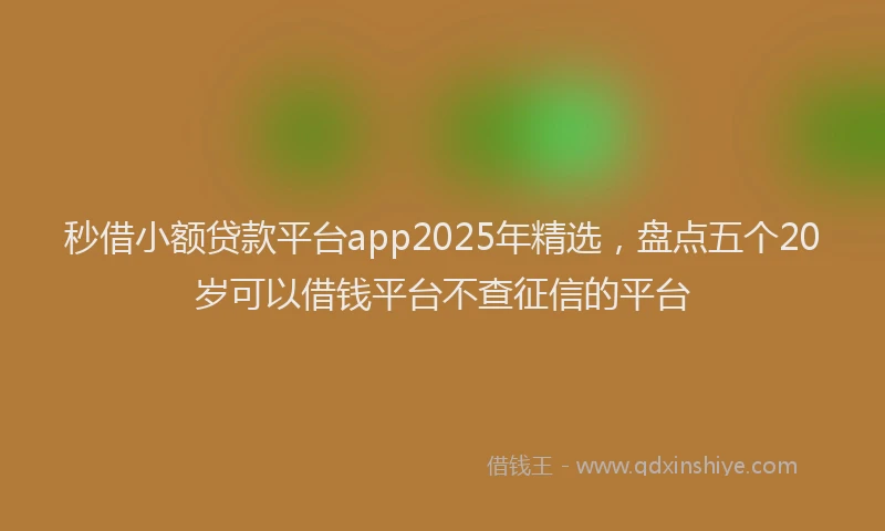 秒借小额贷款平台app2025年精选，盘点五个20岁可以借钱平台不查征信的平台