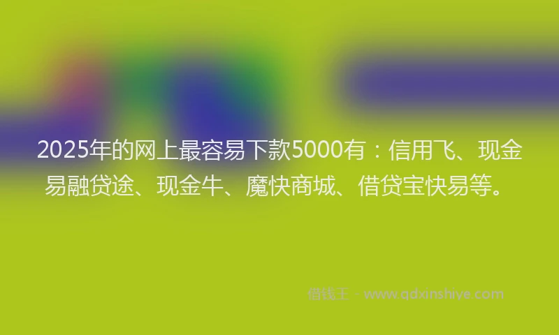 2025年的网上最容易下款5000有：信用飞、现金易融贷途、现金牛、魔快商城、借贷宝快易等。