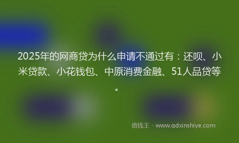 2025年的网商贷为什么申请不通过有：还呗、小米贷款、小花钱包、中原消费金融、51人品贷等。