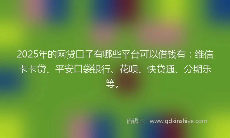2025年的网贷口子有哪些平台可以借钱有：维信卡卡贷、平安口袋银行、花呗、快贷通、分期乐等。