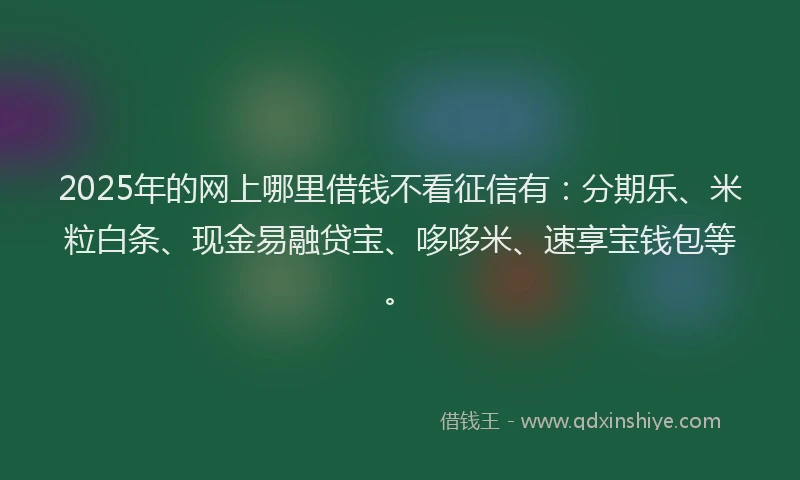 2025年的网上哪里借钱不看征信有：分期乐、米粒白条、现金易融贷宝、哆哆米、速享宝钱包等。