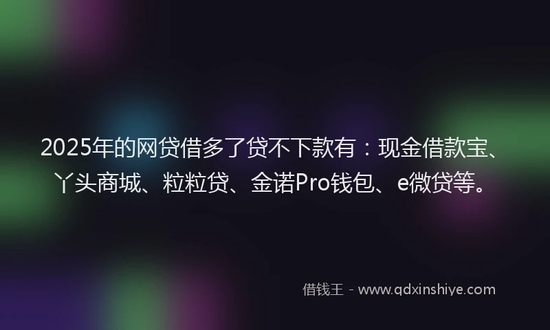 2025年的网贷借多了贷不下款有：现金借款宝、丫头商城、粒粒贷、金诺Pro钱包、e微贷等。