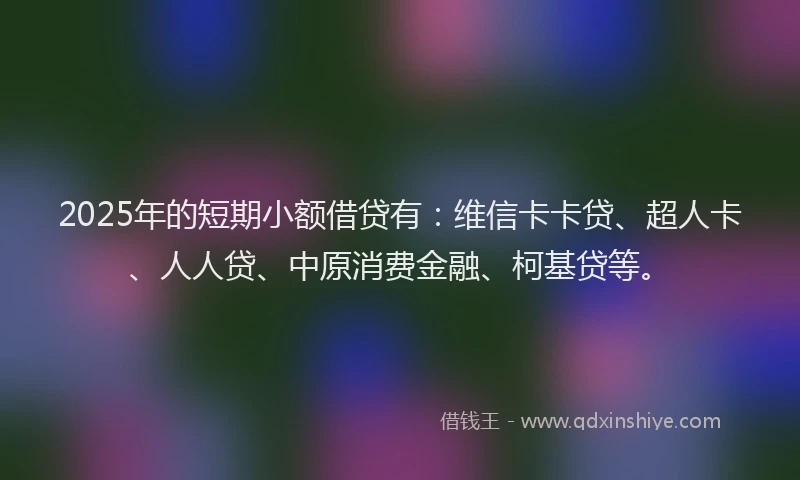 2025年的短期小额借贷有：维信卡卡贷、超人卡、人人贷、中原消费金融、柯基贷等。
