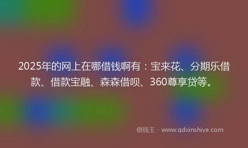2025年的网上在哪借钱啊有：宝来花、分期乐借款、借款宝融、森森借呗、360尊享贷等。