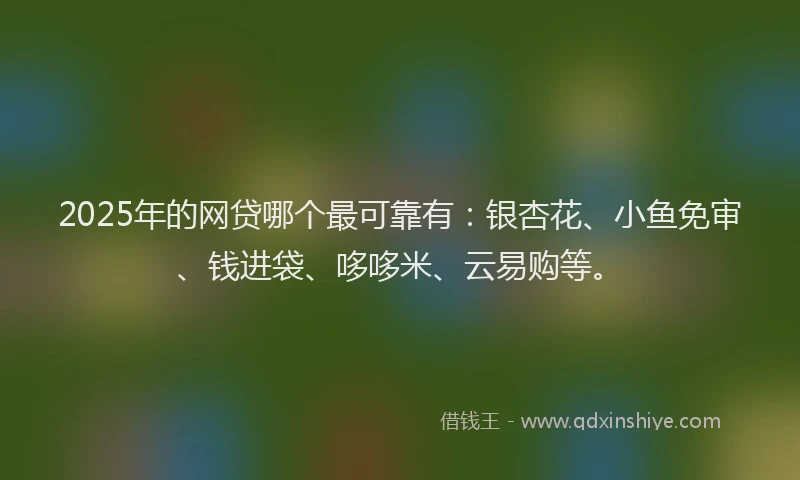 2025年的网贷哪个最可靠有：银杏花、小鱼免审、钱进袋、哆哆米、云易购等。