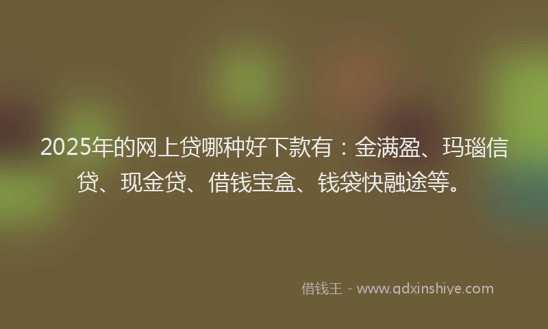 2025年的网上贷哪种好下款有：金满盈、玛瑙信贷、现金贷、借钱宝盒、钱袋快融途等。