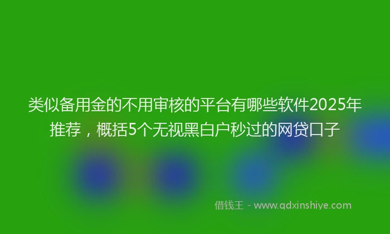 类似备用金的不用审核的平台有哪些软件2025年推荐，概括5个无视黑白户秒过的网贷口子