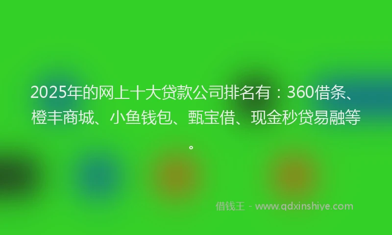 2025年的网上十大贷款公司排名有：360借条、橙丰商城、小鱼钱包、甄宝借、现金秒贷易融等。