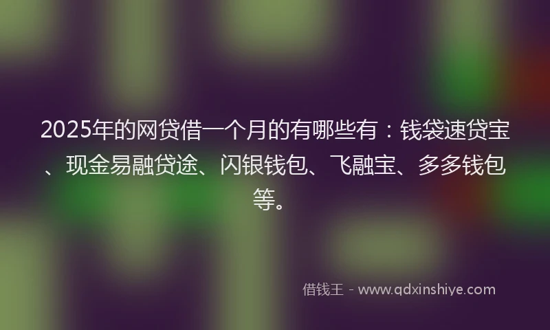 2025年的网贷借一个月的有哪些有：钱袋速贷宝、现金易融贷途、闪银钱包、飞融宝、多多钱包等。