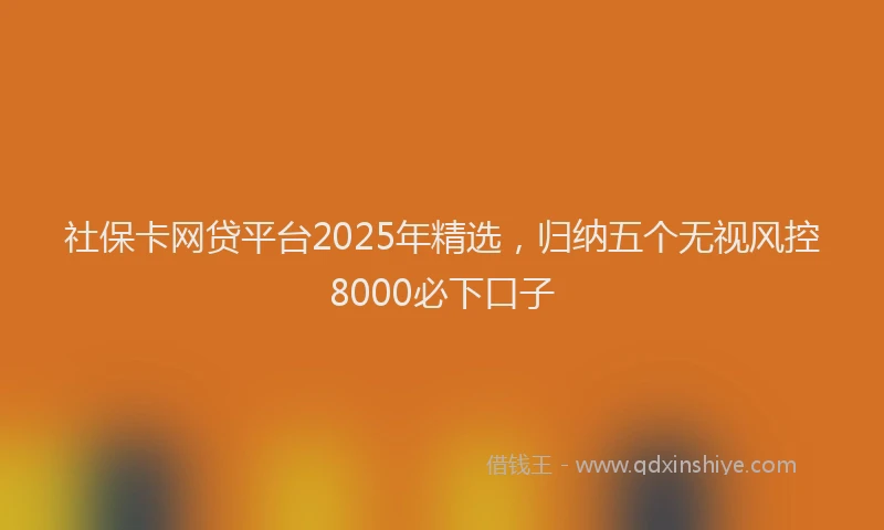 社保卡网贷平台2025年精选，归纳五个无视风控8000必下口子