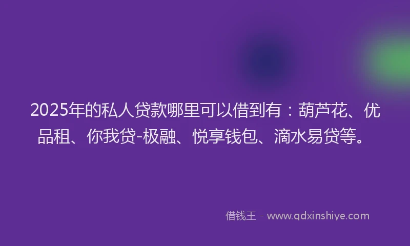2025年的私人贷款哪里可以借到有：葫芦花、优品租、你我贷-极融、悦享钱包、滴水易贷等。