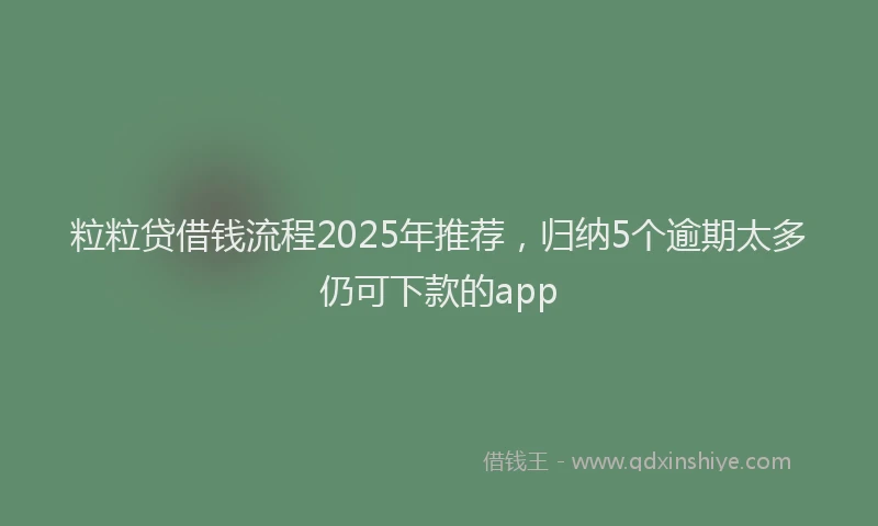 粒粒贷借钱流程2025年推荐，归纳5个逾期太多仍可下款的app
