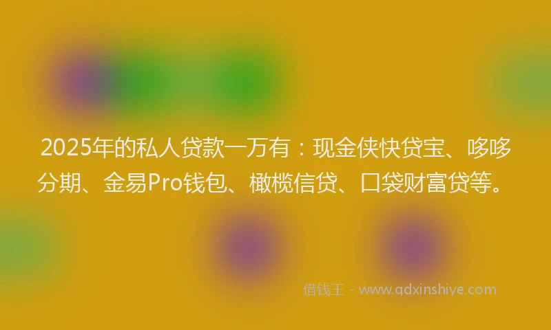 2025年的私人贷款一万有：现金侠快贷宝、哆哆分期、金易Pro钱包、橄榄信贷、口袋财富贷等。