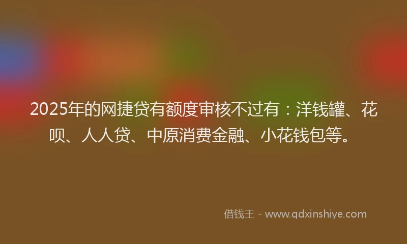 2025年的网捷贷有额度审核不过有：洋钱罐、花呗、人人贷、中原消费金融、小花钱包等。