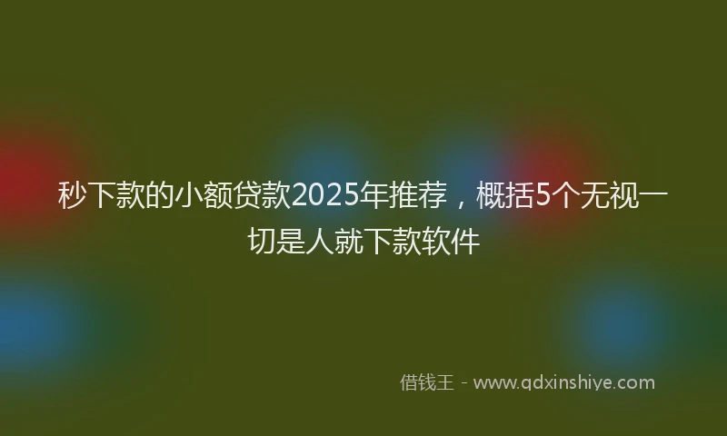 秒下款的小额贷款2025年推荐，概括5个无视一切是人就下款软件