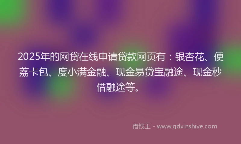 2025年的网贷在线申请贷款网页有：银杏花、便荔卡包、度小满金融、现金易贷宝融途、现金秒借融途等。