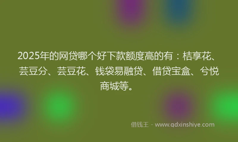 2025年的网贷哪个好下款额度高的有：桔享花、芸豆分、芸豆花、钱袋易融贷、借贷宝盒、兮悦商城等。