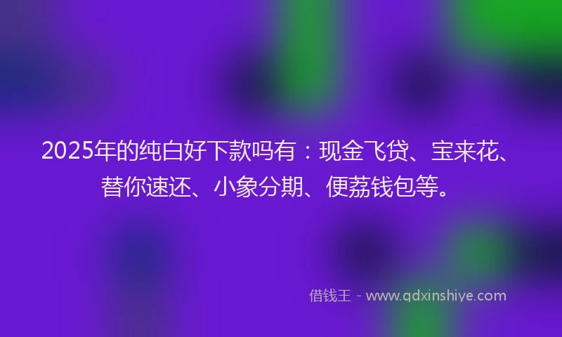 2025年的纯白好下款吗有：现金飞贷、宝来花、替你速还、小象分期、便荔钱包等。