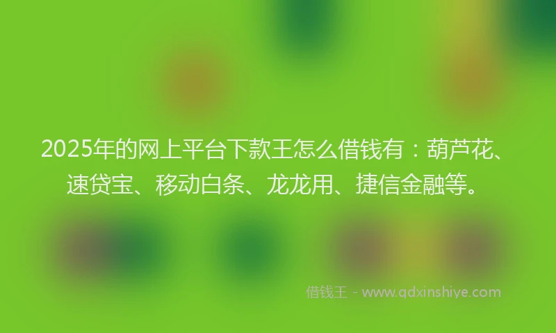 2025年的网上平台下款王怎么借钱有：葫芦花、速贷宝、移动白条、龙龙用、捷信金融等。