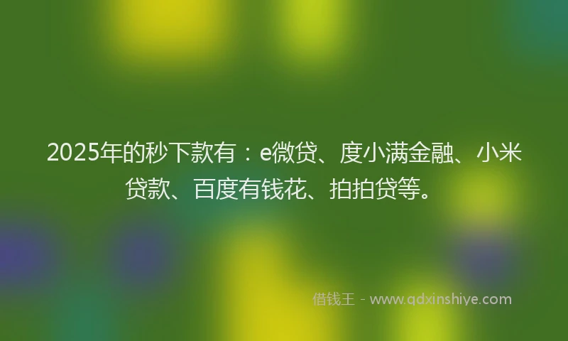 2025年的秒下款有：e微贷、度小满金融、小米贷款、百度有钱花、拍拍贷等。
