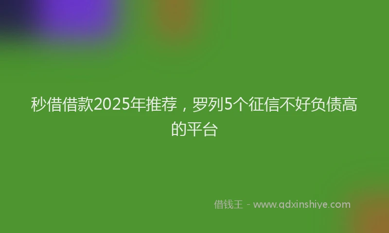 秒借借款2025年推荐，罗列5个征信不好负债高的平台