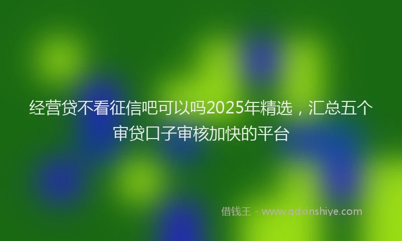 经营贷不看征信吧可以吗2025年精选，汇总五个审贷口子审核加快的平台